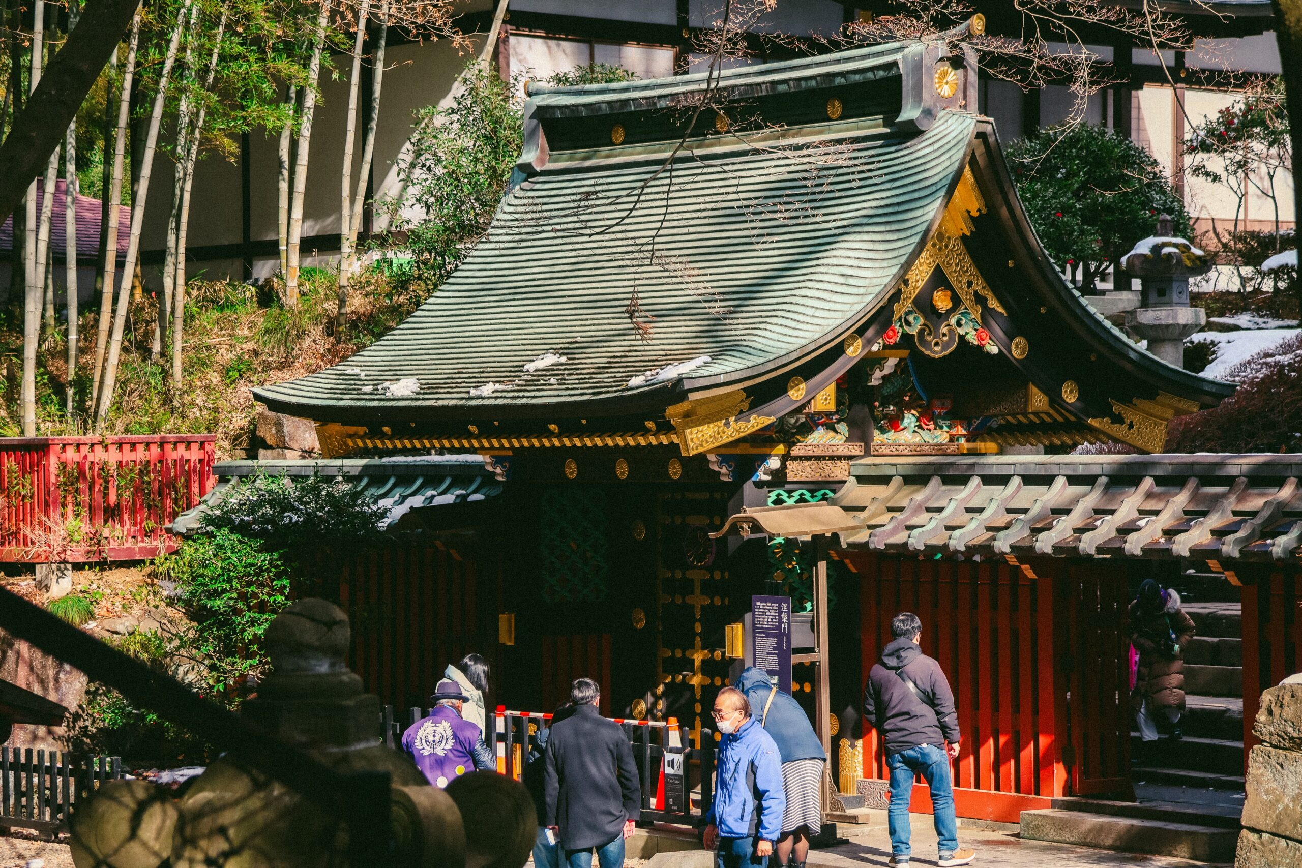 【海の中道海浜公園 個人で参加できるボランティア】